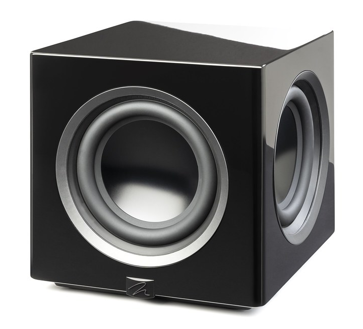 MartinLogan Abyss 10 Subwoofer